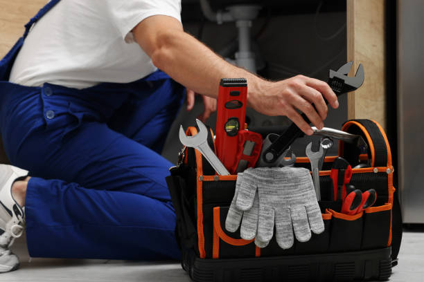 Best Plumbing Services Near Me  in Risg Sun, IN
