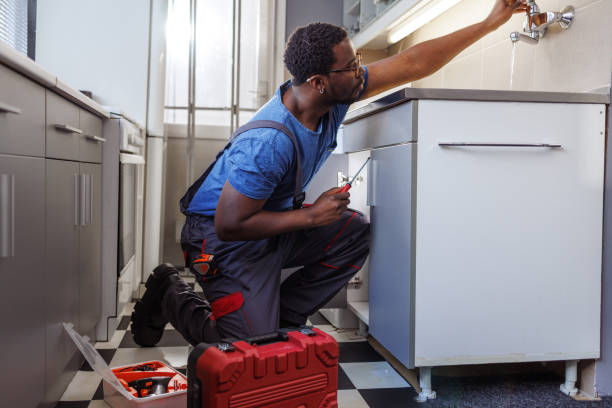 Best Commercial Plumbing Services  in Risg Sun, IN